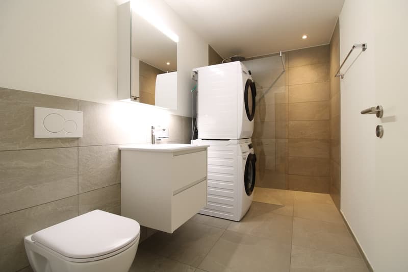 2.5 Zimmer-Attikawohnung mit gorsser Terrasse - Neubau (4)
