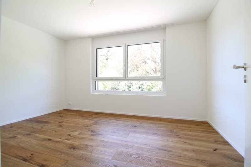 2.5 Zimmer-Attikawohnung mit gorsser Terrasse - Neubau (3)