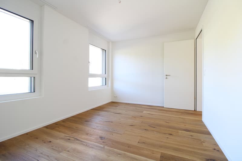 Charmante 4.5 Zimmer-Neubauwohnung (5)