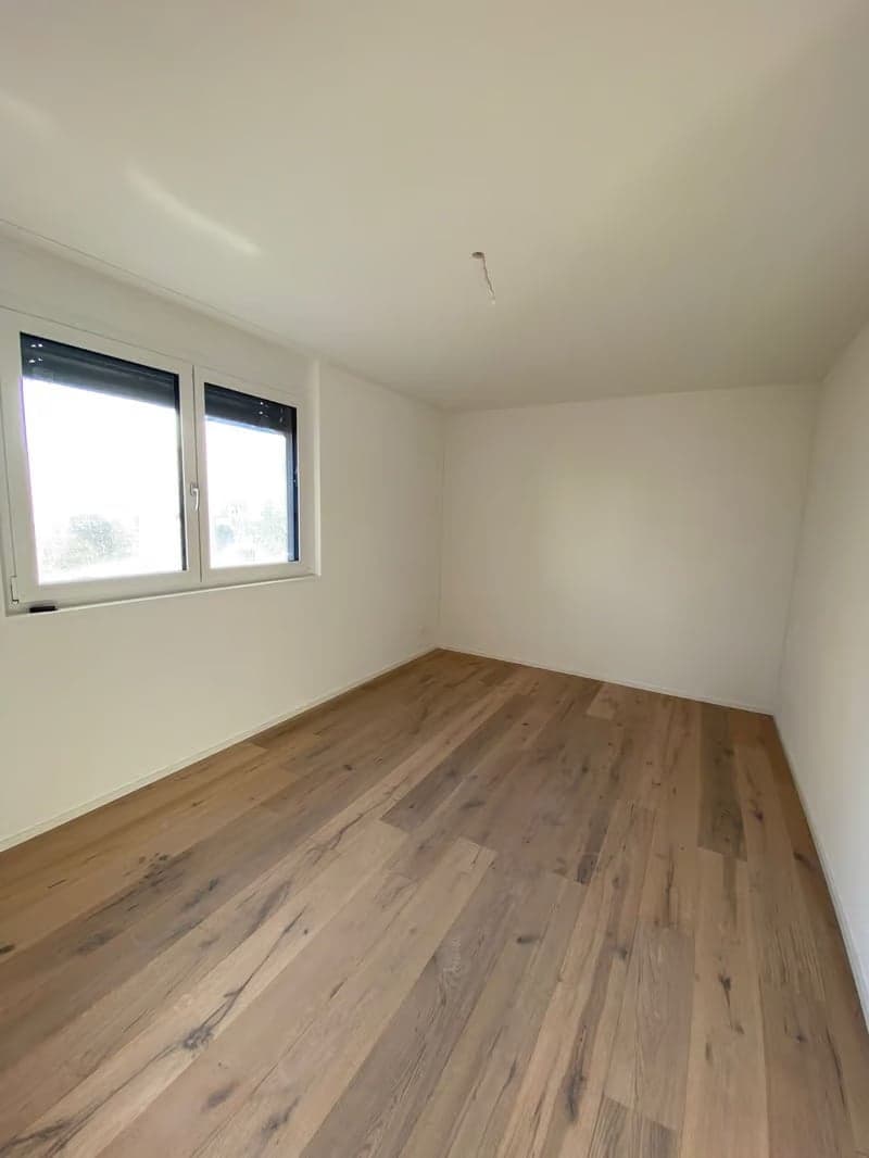 Wunderschöne 3.5 Zimmer Attikawohnung (8)