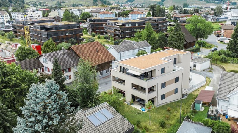 Wunderschöne 3.5 Zimmer Attikawohnung (12)