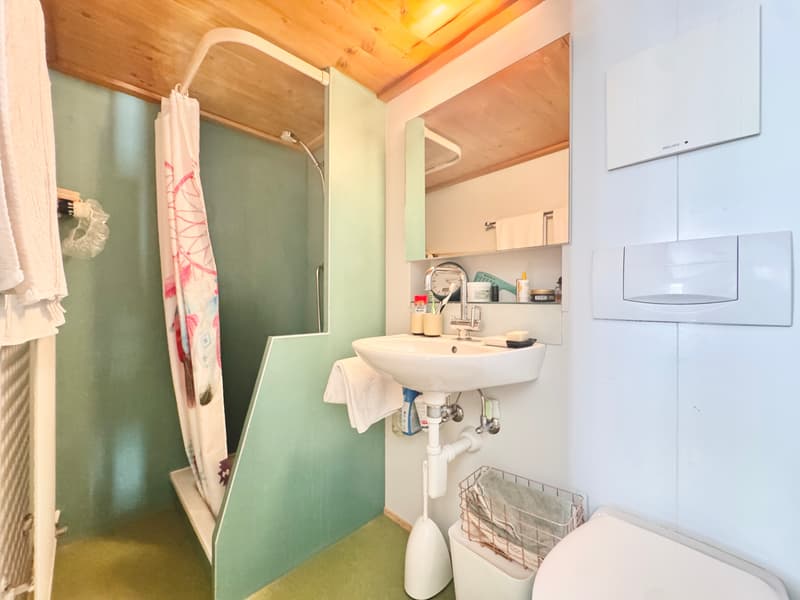 Nasszelle Dusche WC