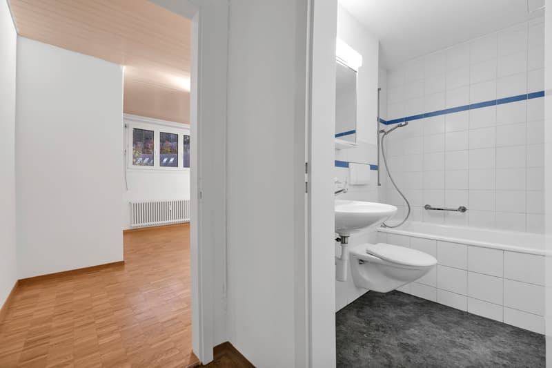 Schöne 1.0-Zi.-Wohnung im Osten der Stadt St. Gallen (3)