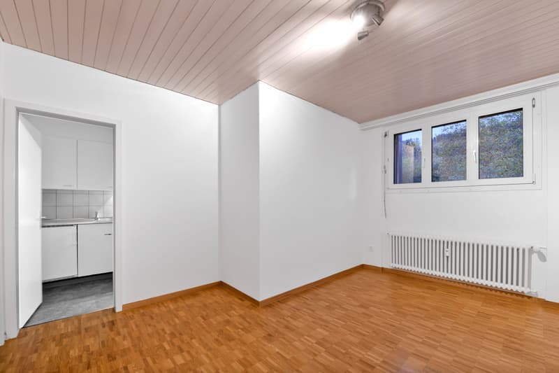 grosses Zimmer