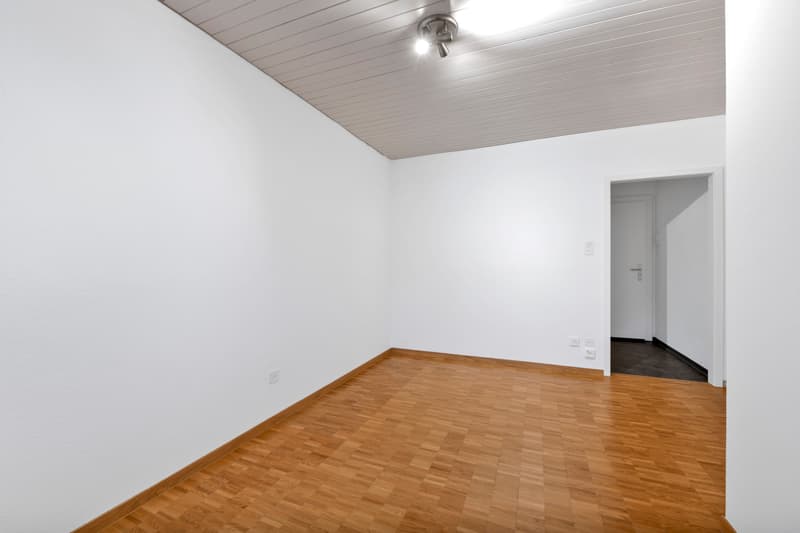 Schöne 1.0-Zi.-Wohnung im Osten der Stadt St. Gallen (5)