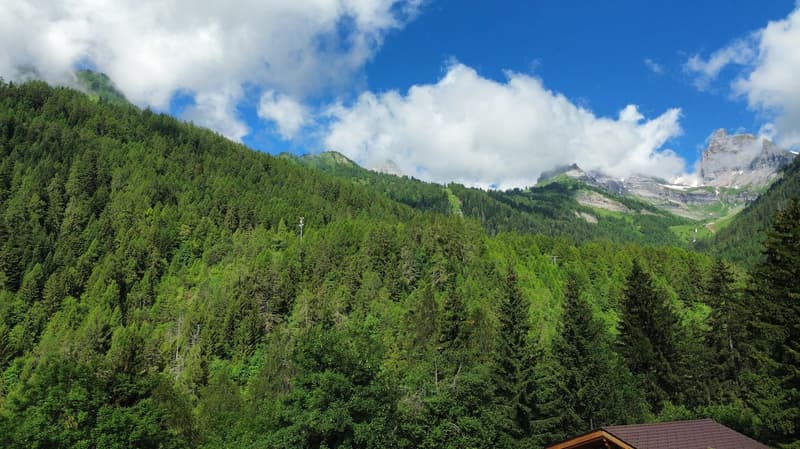 Superbe bâtisse à Ovronnaz (6)
