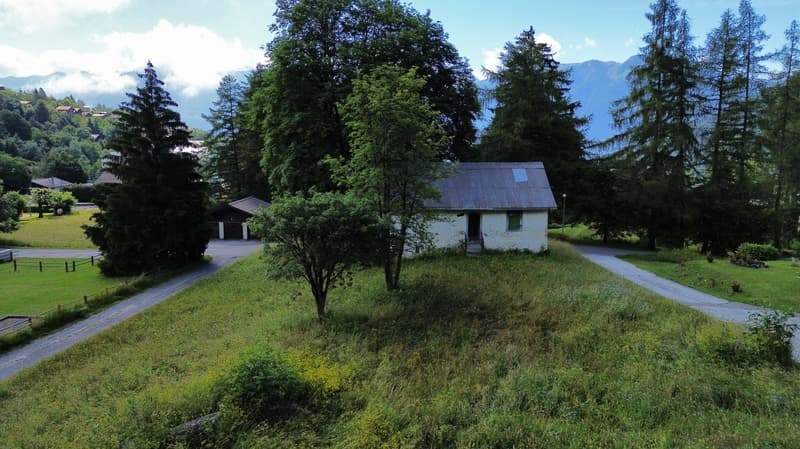 Superbe bâtisse à Ovronnaz (13)
