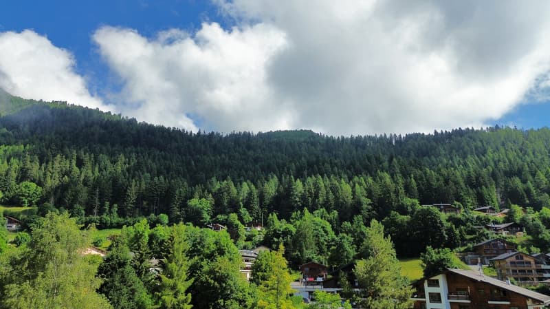 Superbe bâtisse à Ovronnaz (7)