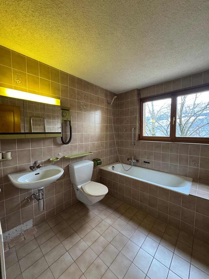 Magnifique Maison à Chamoson (33)