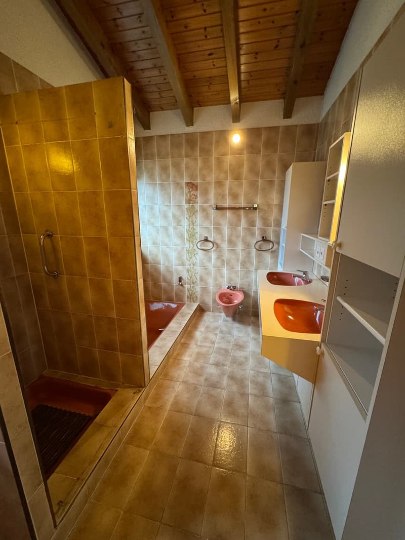 Magnifique Maison à Chamoson (31)