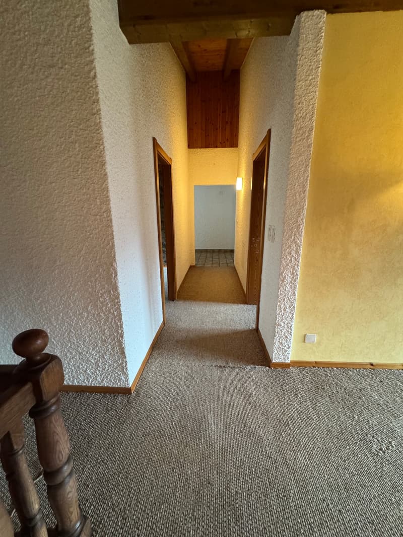 Magnifique Maison à Chamoson (36)