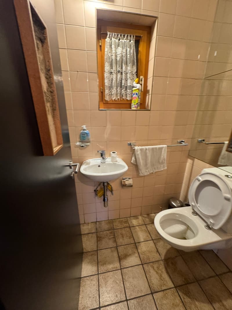 Magnifique Maison à Chamoson (23)