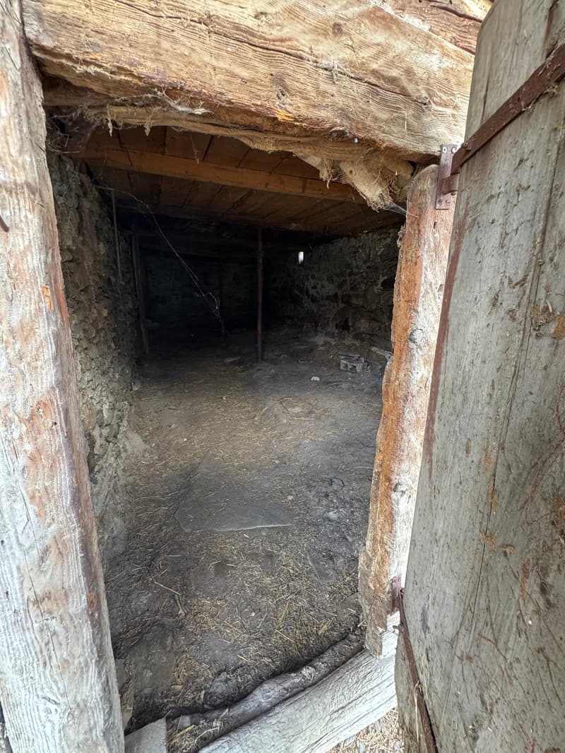 The image shows the interior of an old, wooden cellar or storage space. The walls are made of rough, weathered wood, and the ceiling is supported by wooden beams. The floor is dirt and appears to be covered in debris and straw. The space is dark and dimly