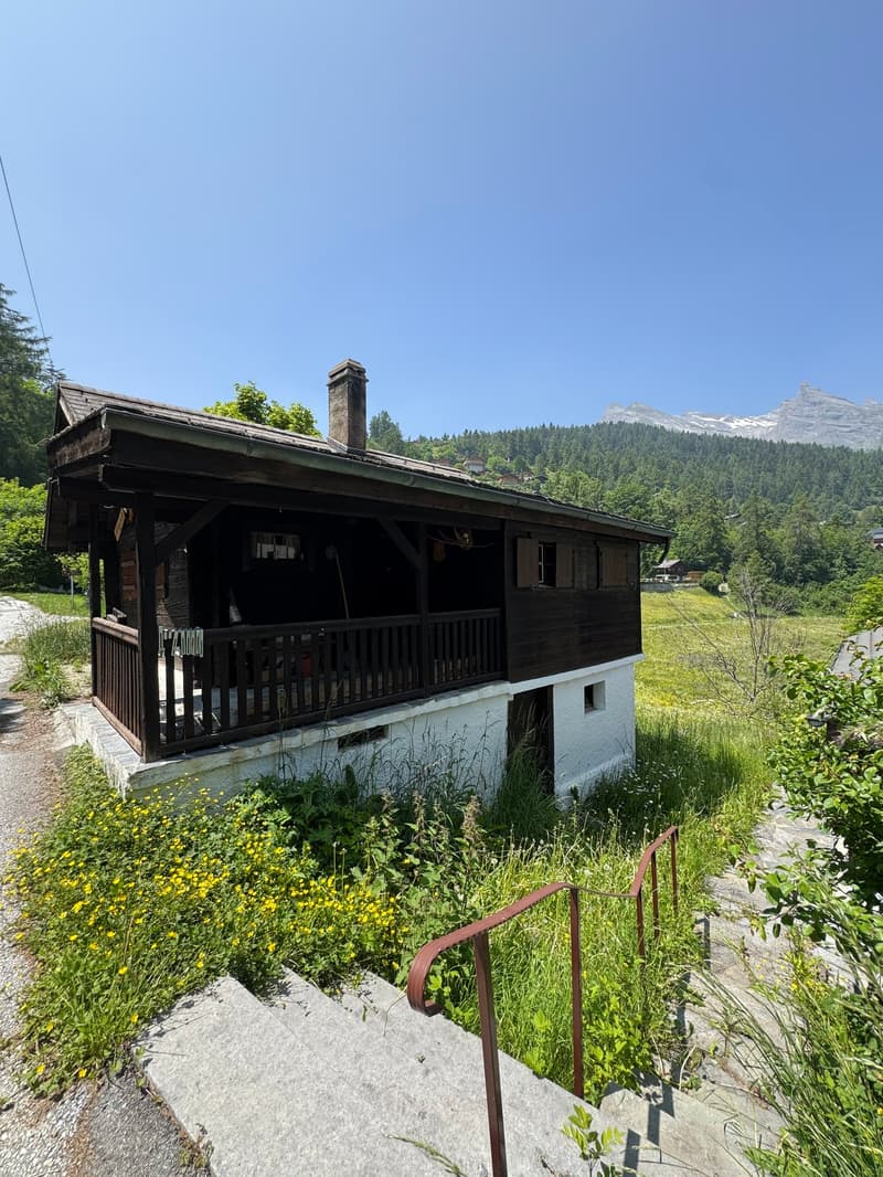 Rustic wooden cabin with a covered balcony, surrounded by lush greenery and mountains in the background.