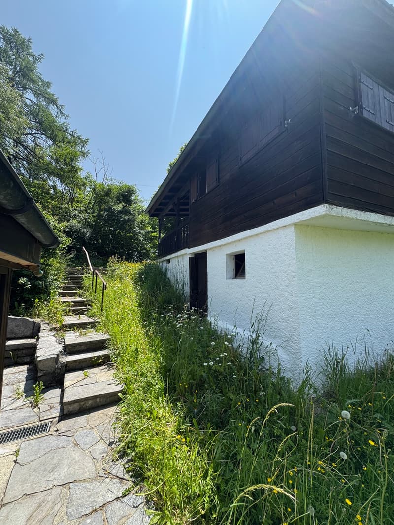 Two-story wooden house with a white exterior wall, surrounded by lush greenery and a stone staircase leading up to the entrance. The house has a balcony or terrace visible on the upper level.