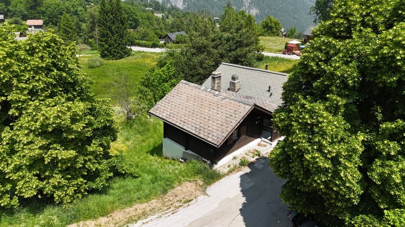 A traditional alpine-style wooden house surrounded by lush green trees and vegetation, situated in a picturesque mountain landscape.