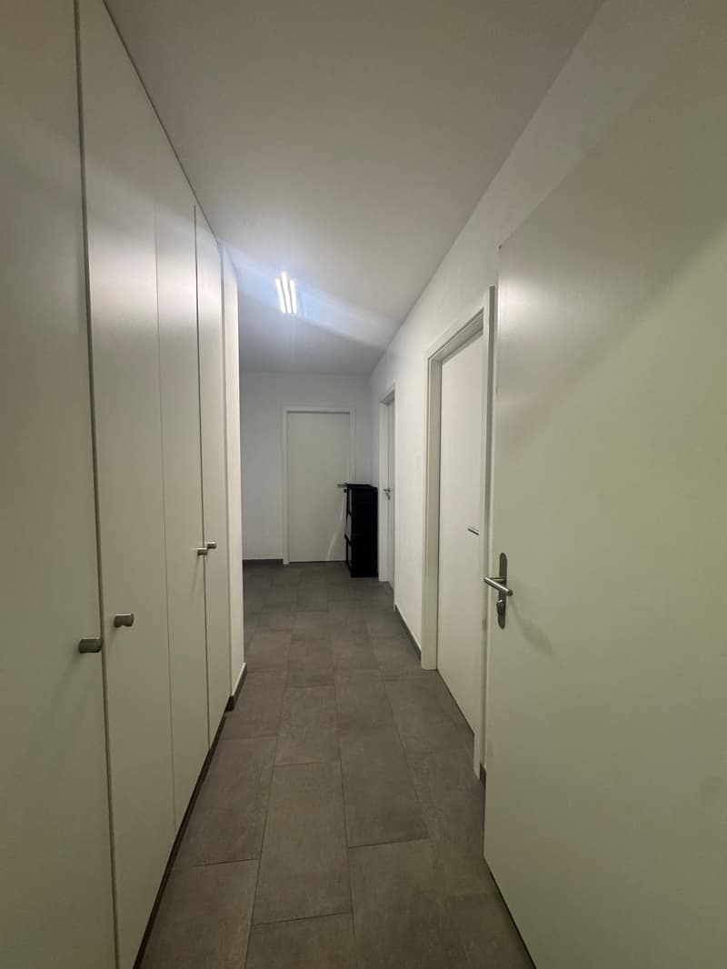 Appartement 3.5 pièces moderne avec vue sur les montagnes à Aproz (Nendaz) (2)