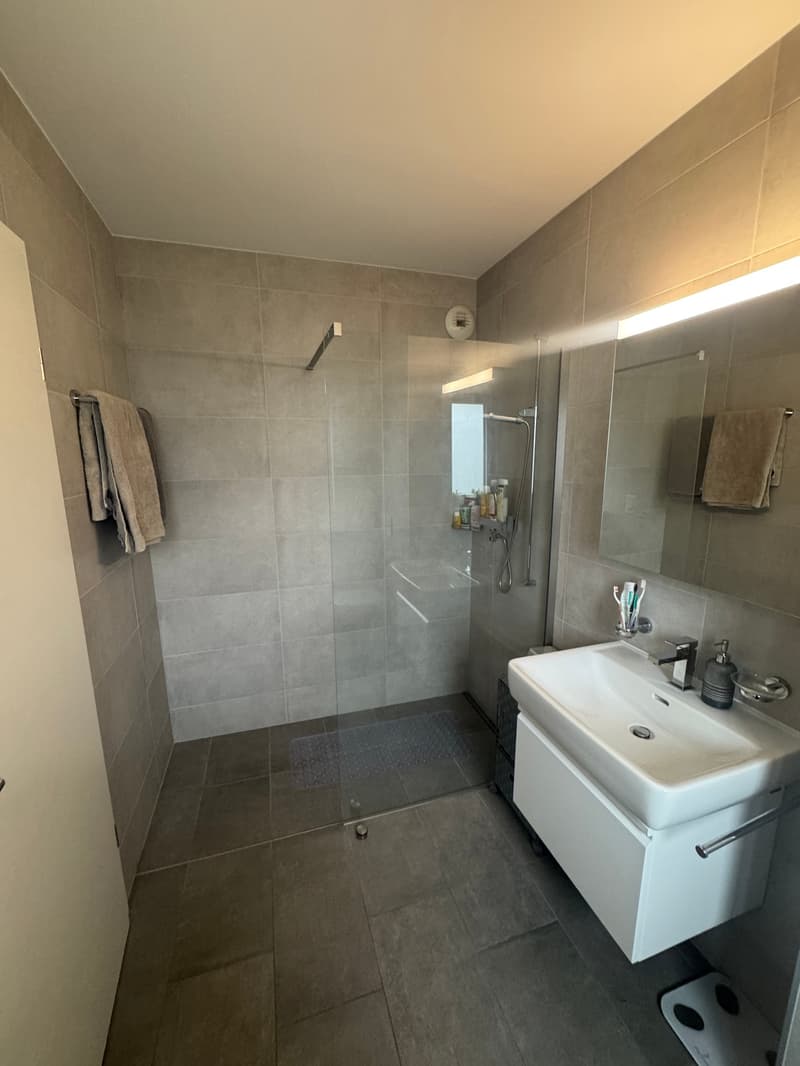 Appartement 3.5 pièces moderne avec vue sur les montagnes à Aproz (Nendaz) (7)
