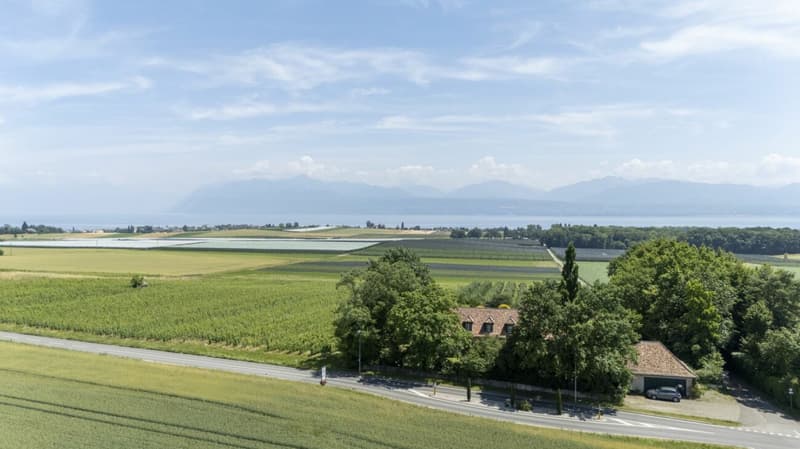 Propriété d'exception avec vue lac à Etoy (12)
