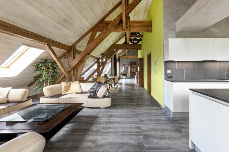 Propriété exceptionnelle mêlant modernité et authenticité rustique (7)