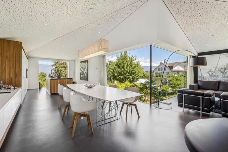 Villa d'architecte contemporaine au coeur d'un environnement privilégié (6)