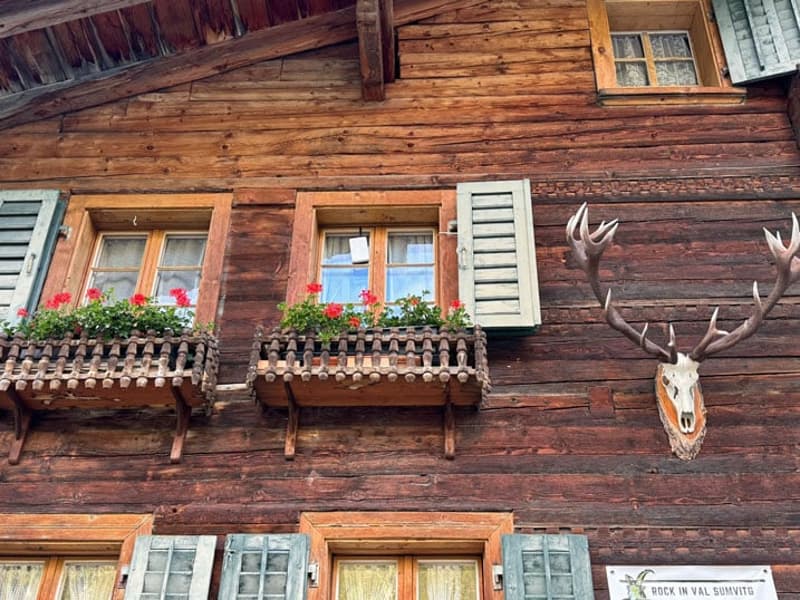 Two-story wooden cabin with balconies, red flower boxes, and a deer skull mounted on the exterior wall.