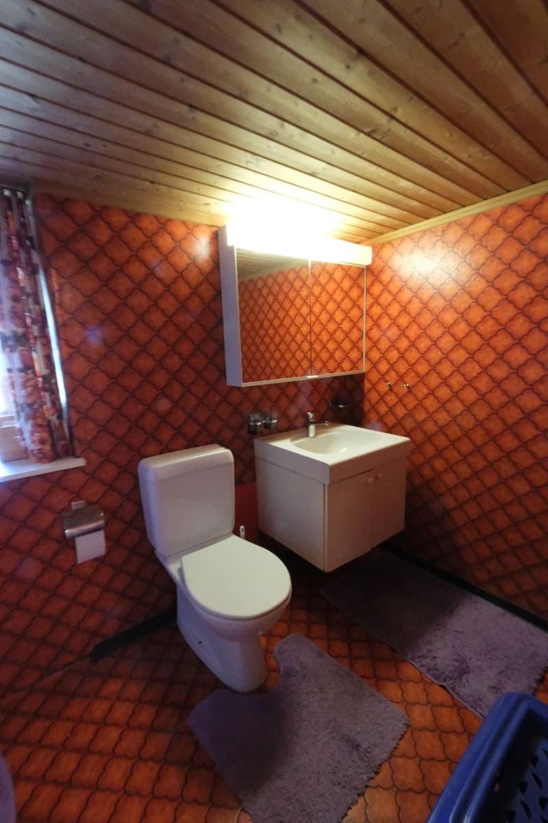 Das grosse Wohnhaus mit Stall in Schluein bei Ilanz/Glion (6)