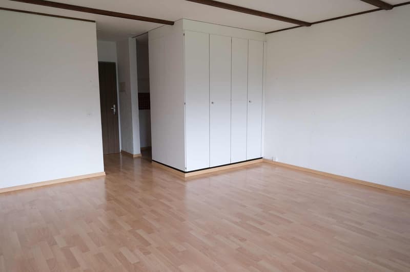 Die grosse und gemütliche 3.5 Zimmerwohnung in Sedrun (8)