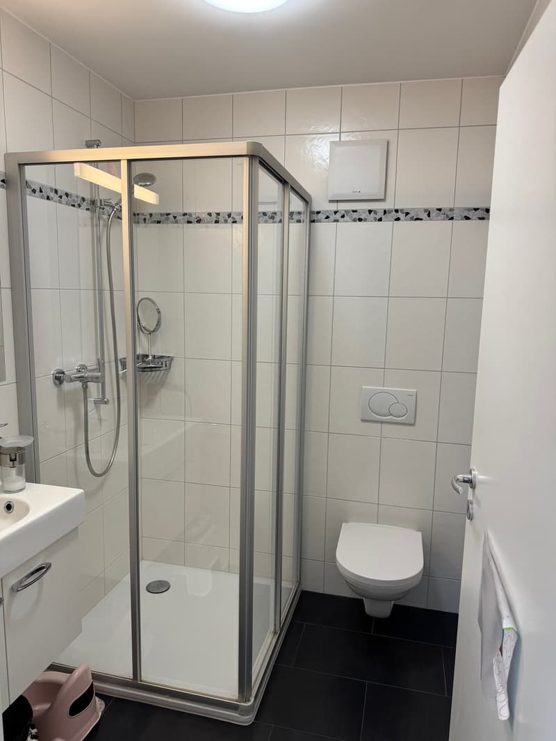 A vendre magnifique Appartement 4.5 pièce (9)