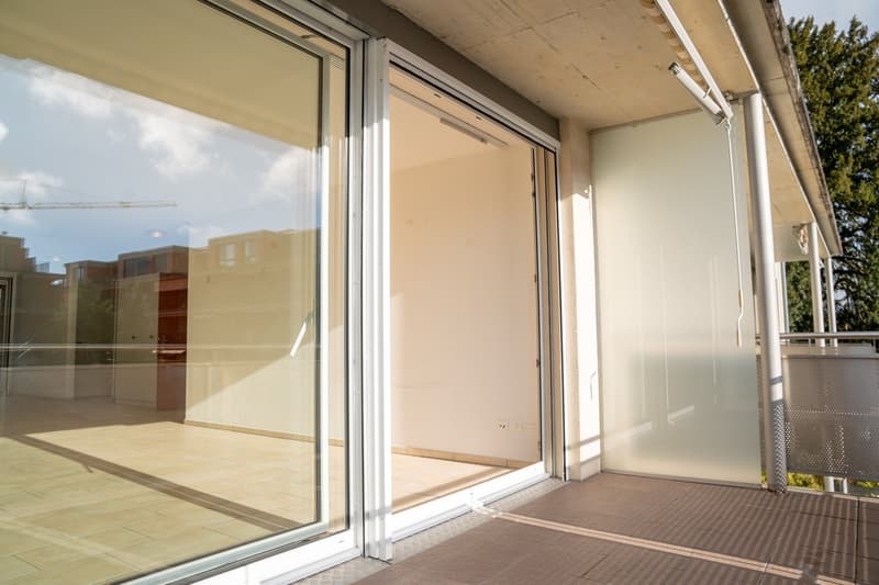 large glass sliding doors, glass doors to balcony, wooden floor, white walls, white sliding doors