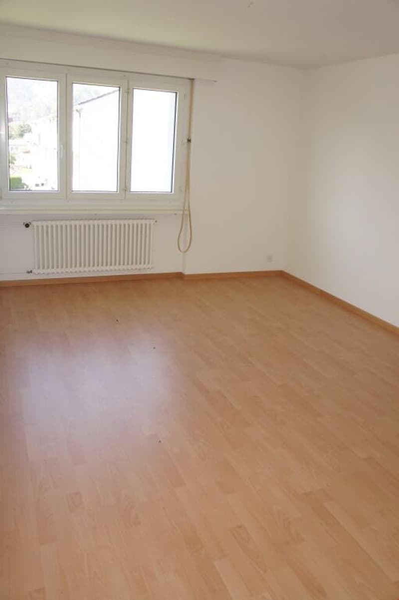 Geräumig, attraktiv mit fantastischer Bergsicht! (3)