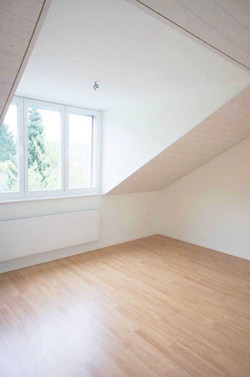 Exklusive Dachwohnung mit Balkon im Grünen! (5)
