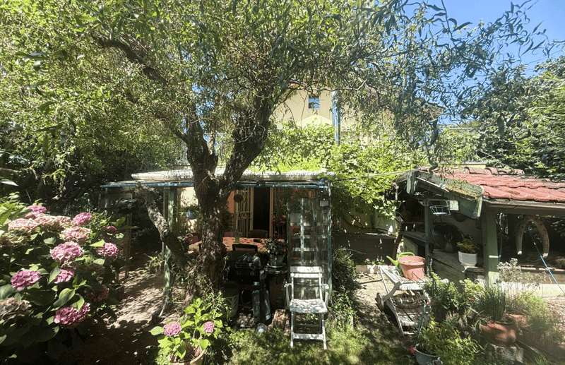 Large garden, olive tree, flowers, table, chair, grill, potted plants, BBQ, outdoor storage, walkway, shed