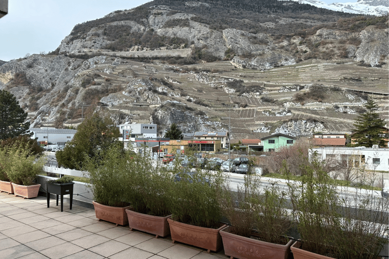 Plants, tiled floor, white fence, scenic mountain view, terraced houses in the background