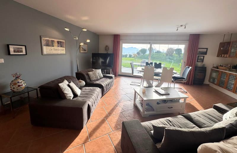 En exclusivité - Viager occupé sans rente – Superbe 4 pièces avec jardin et vue sur le lac (5)