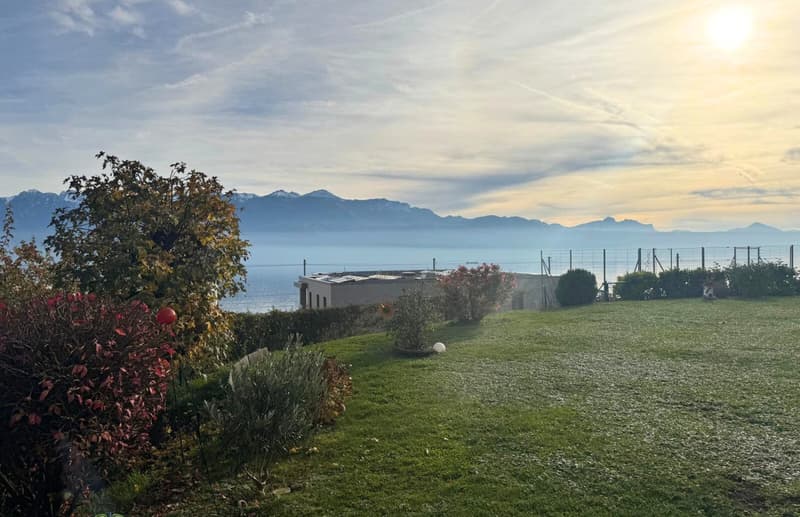 En exclusivité - Viager occupé sans rente – Superbe 4 pièces avec jardin et vue sur le lac (2)