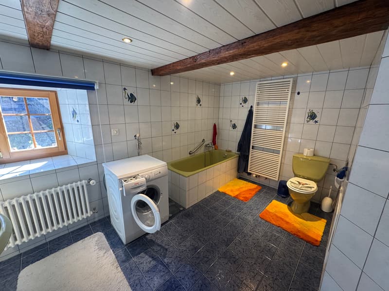 Viager occupé - Chalet alpin authentique – Entièrement rénové –   Panex (9)