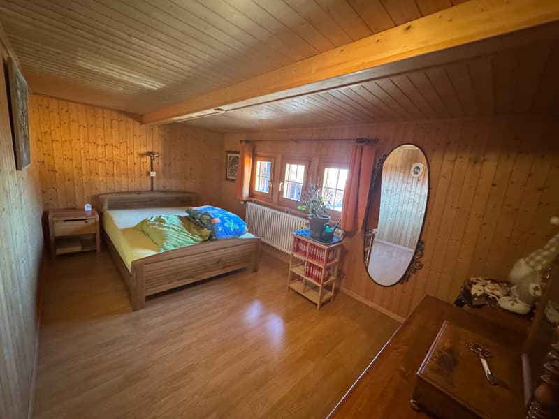 Viager occupé - Chalet alpin authentique – Entièrement rénové –   Panex (7)