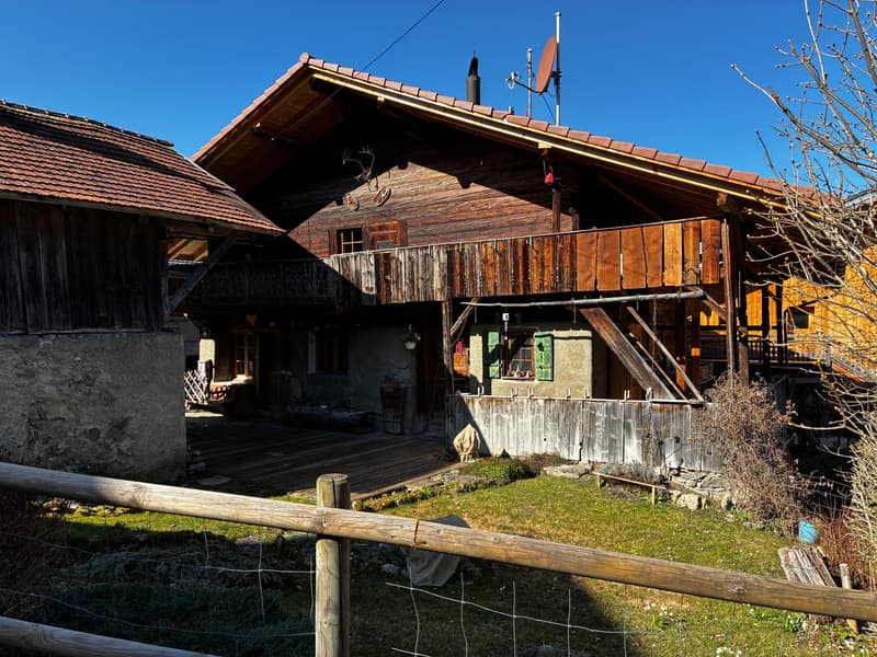 Viager occupé - Chalet alpin authentique – Entièrement rénové –   Panex (2)