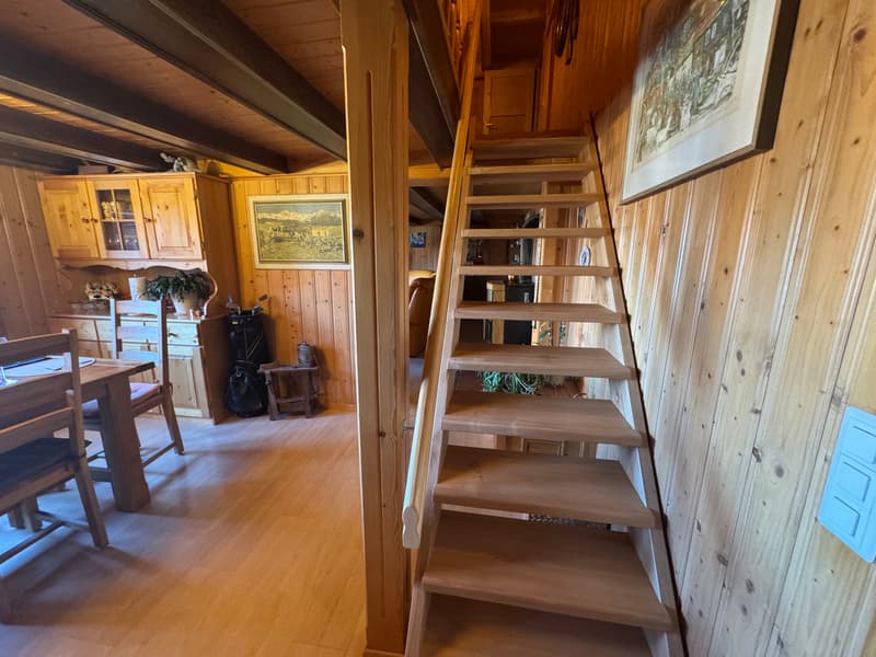 Viager occupé - Chalet alpin authentique – Entièrement rénové –   Panex (8)