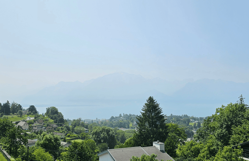 Maison de charme à Brent avec une magnifique vue sur le lac Léman (9)