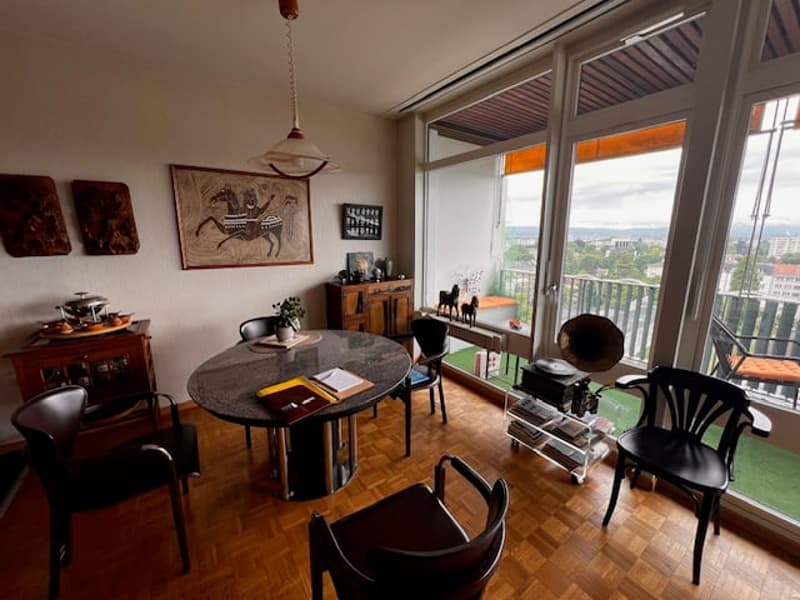 Viager – Magnifique appartement, vue panoramique et piscine sur le toit - Petit-Saconnex (4)