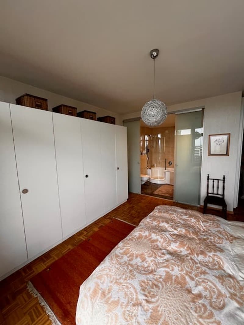 Viager – Magnifique appartement, vue panoramique et piscine sur le toit - Petit-Saconnex (9)
