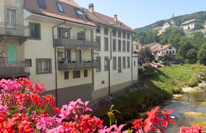 Appartement au centre de Moudon de 2.5 pièces loué avec rendement garanti (1)