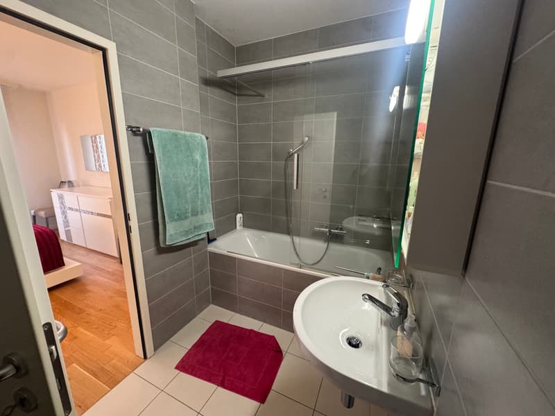 Spacieux appartement de 4.5 pièces moderne à Petit-Lancy (9)