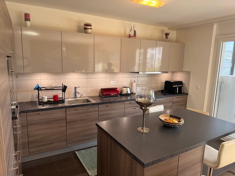 Spacieux appartement de 4.5 pièces moderne à Petit-Lancy (3)