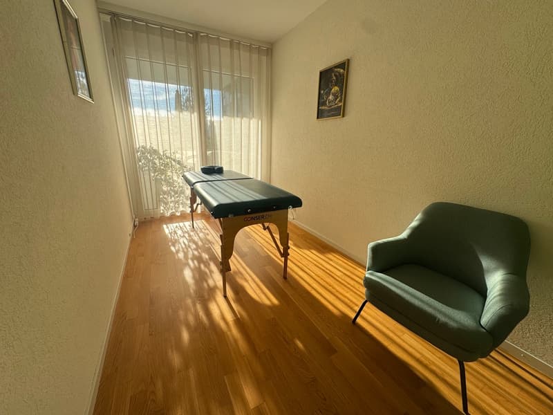 Spacieux appartement de 4.5 pièces moderne à Petit-Lancy (13)