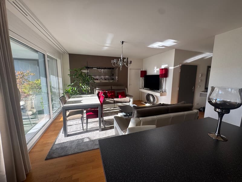 Spacieux appartement de 4.5 pièces moderne à Petit-Lancy (1)