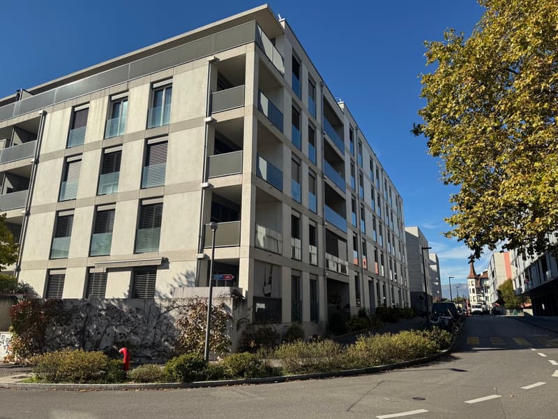 Spacieux appartement de 4.5 pièces moderne à Petit-Lancy (14)