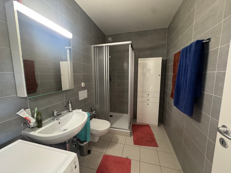 Spacieux appartement de 4.5 pièces moderne à Petit-Lancy (11)